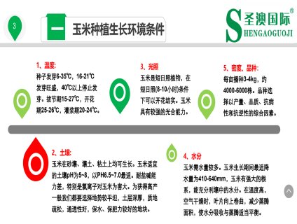 玉米种植生长环境条件