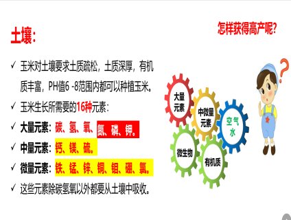 玉米生长所需要的16种元素