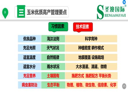 玉米优质高产管理要点